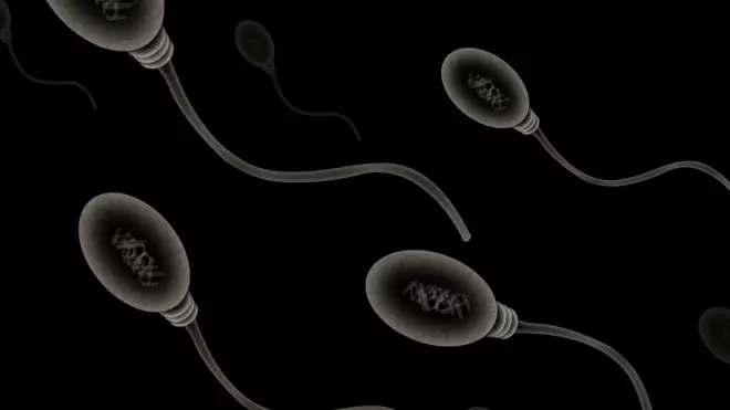 Прогресс негативно сказывается на мужском здоровье: зафиксировано ухудшение качества спермы в 10 раз