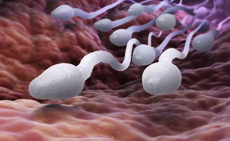 Медики бьют тревогу: качественные характеристики спермы уменьшились в 10 раз